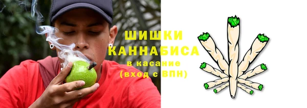 ГАЛЛЮЦИНОГЕННЫЕ ГРИБЫ Зеленокумск