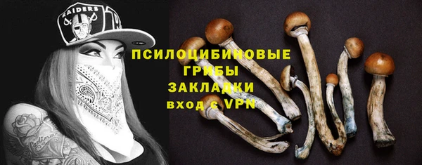 ГАЛЛЮЦИНОГЕННЫЕ ГРИБЫ Зеленокумск