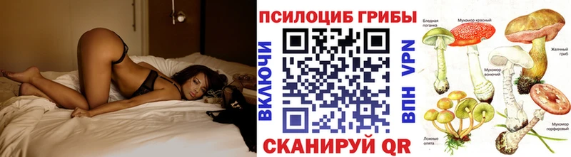Купить закладки  Тулун  Галлюциногенные грибы мухоморы 